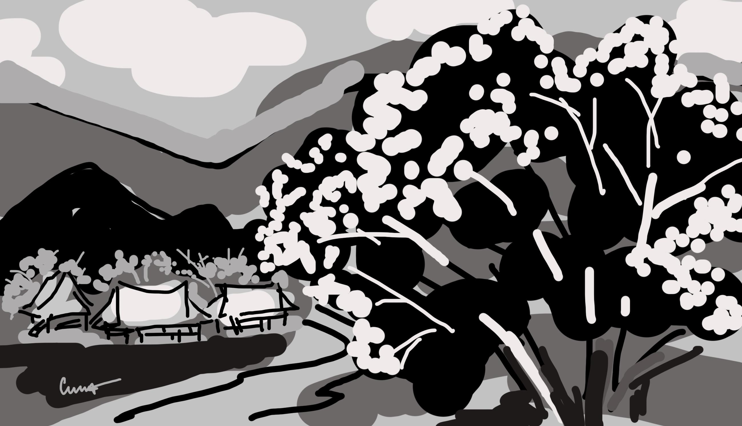 Đợi chờ hoa ban